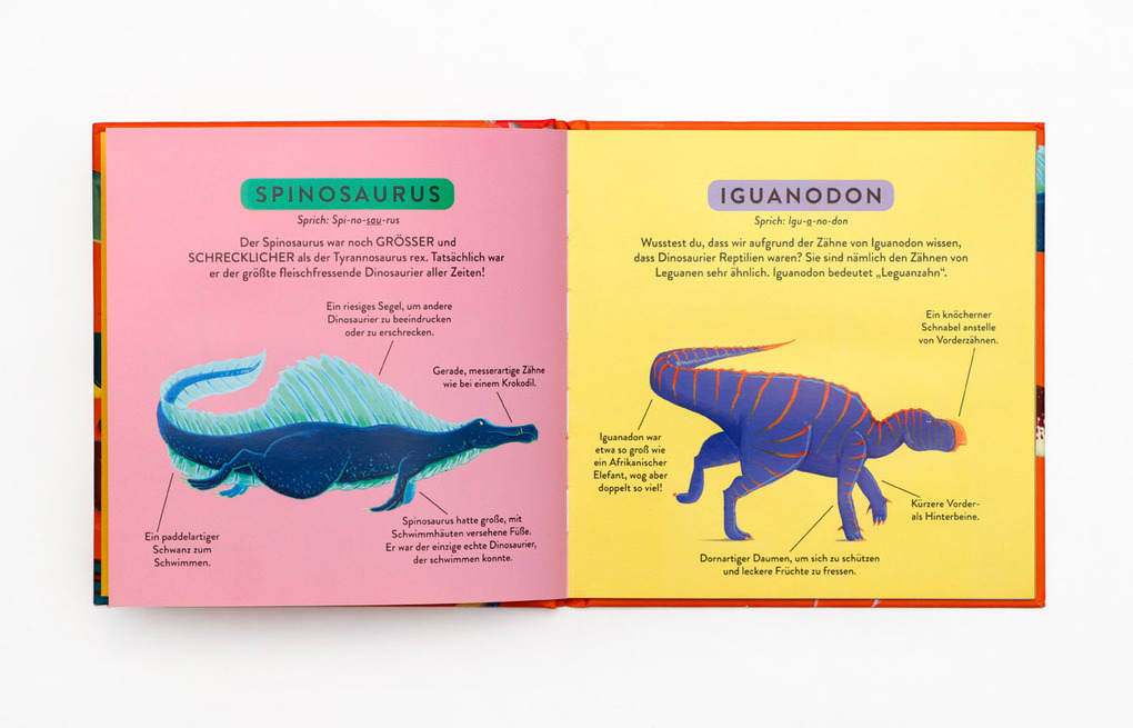 Weitere Ansicht: Mein erstes Dino-Buch