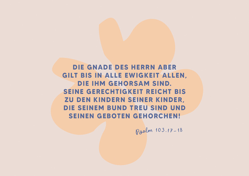 Weitere Ansicht: Gott denkt an alle Details | Stennie