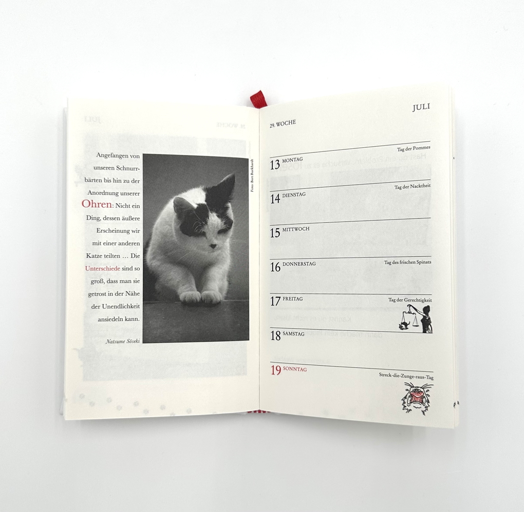 Weitere Ansicht: Katzen Taschenkalender 2026 | Julia Bachstein
