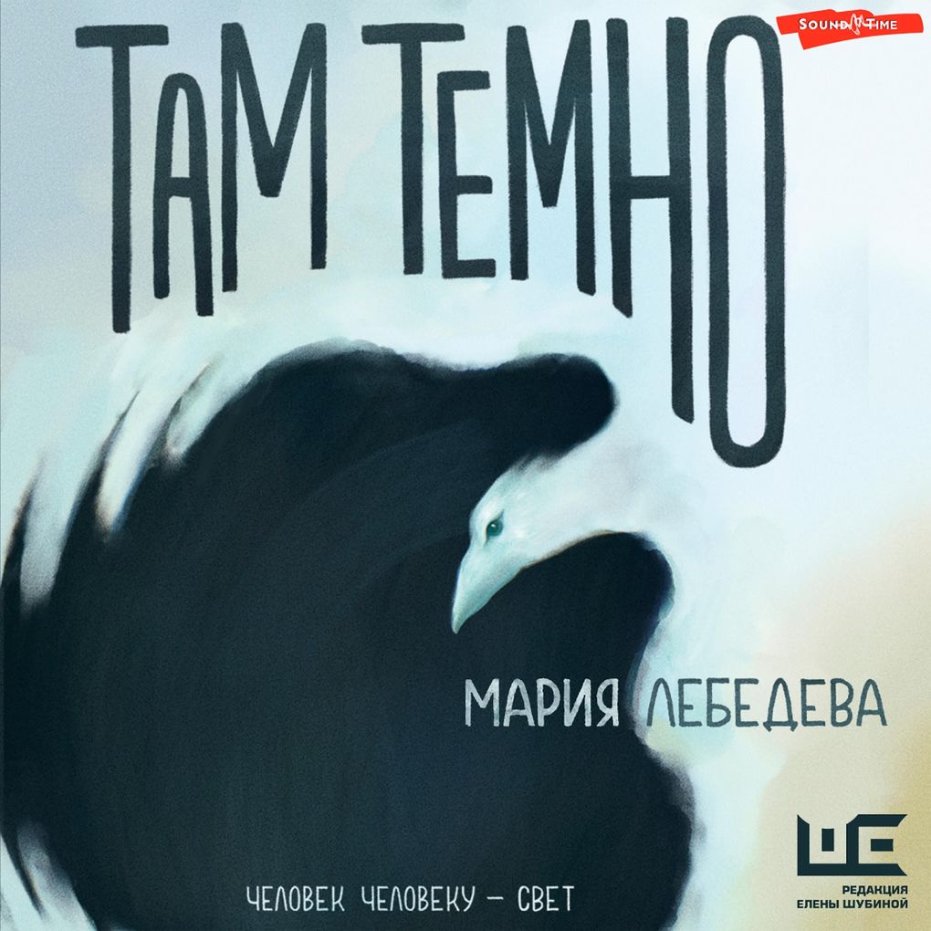 Produktbild: Tam temno | Maria Lebedeva