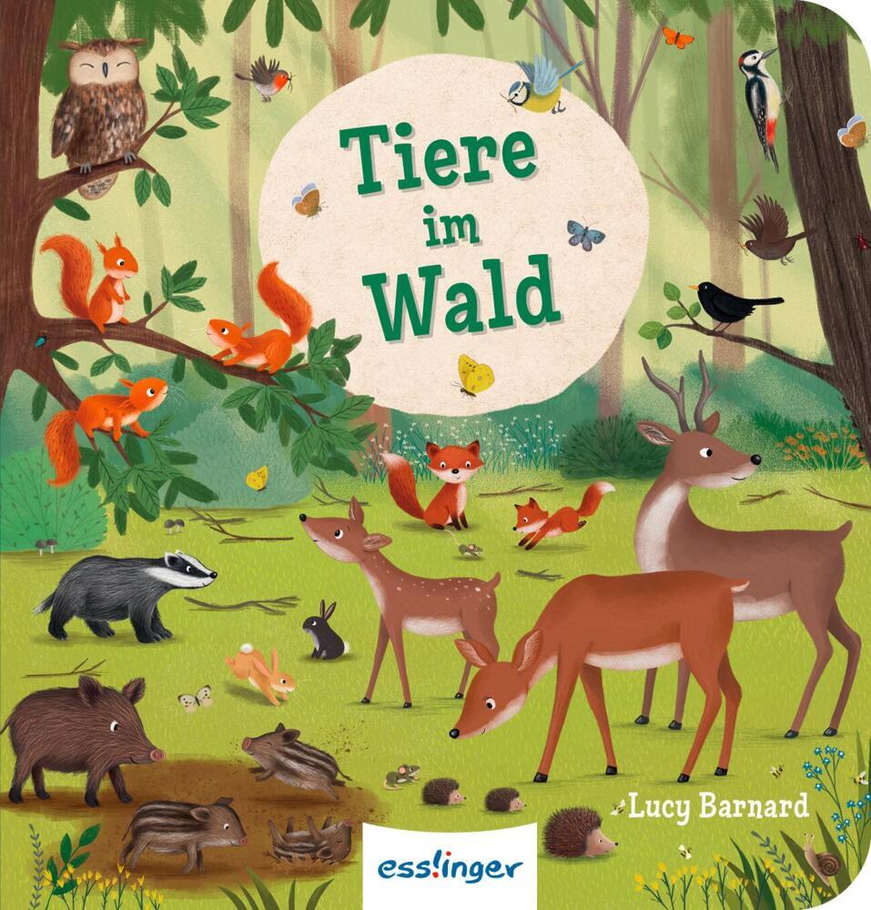 Produktbild: Mein erstes Natur-Wimmelbuch: Tiere im Wald - Mini-Ausgabe | Sibylle Schumann