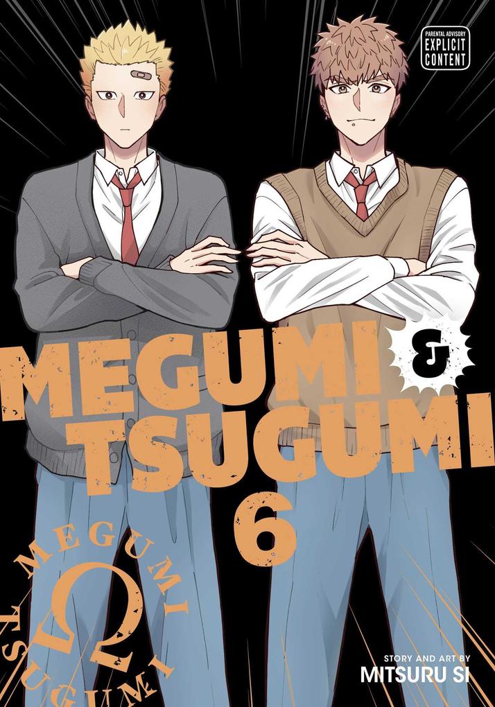 Produktbild: Megumi & Tsugumi, Vol. 6 | Mitsuru Si