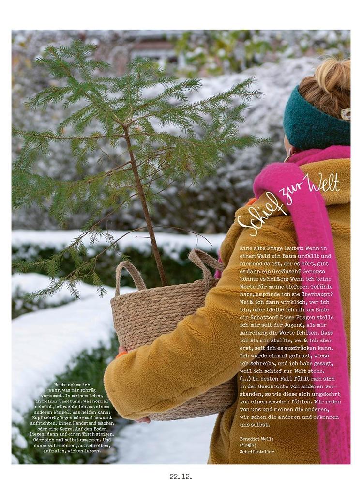 Weitere Ansicht: Lichtungen Advent 2025 | Stephanie Brall, Ann-Kathrin Blohmer