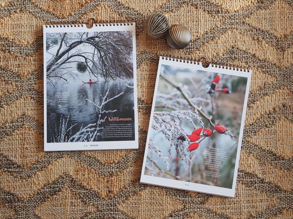 Weitere Ansicht: Lichtungen Advent 2025 | Stephanie Brall, Ann-Kathrin Blohmer