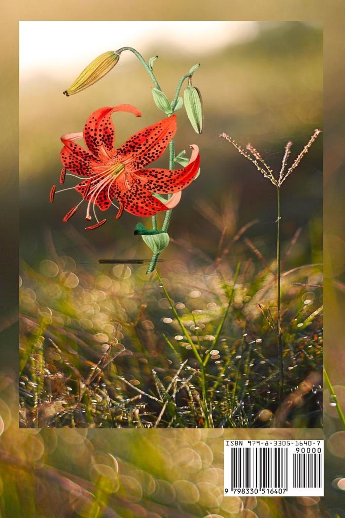 Weitere Ansicht: Los Seductores Secretos de Una Bruja | Jo Ann Atcheson Gray