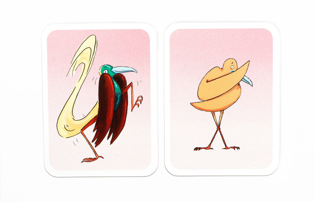 Weitere Ansicht: Kleider machen Tiere | Catherine Ard