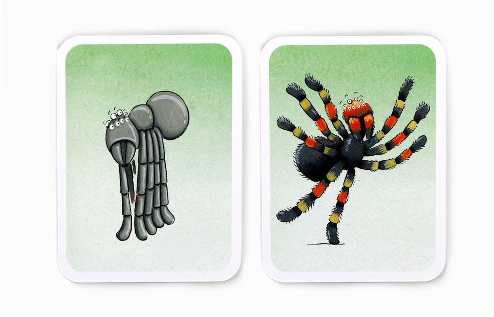 Weitere Ansicht: Kleider machen Tiere | Catherine Ard