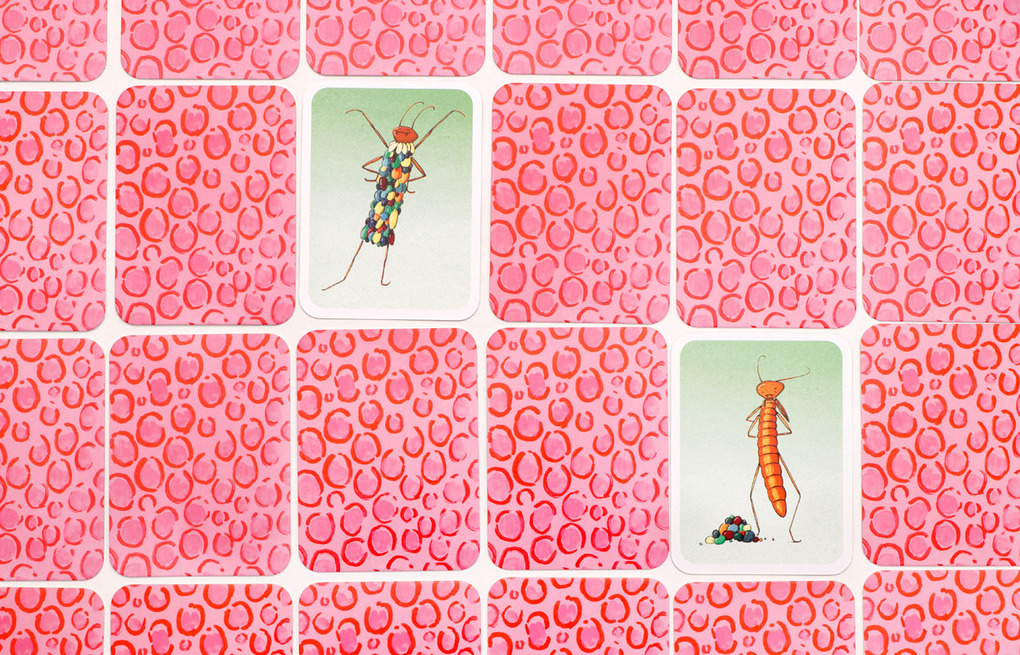 Weitere Ansicht: Kleider machen Tiere | Catherine Ard