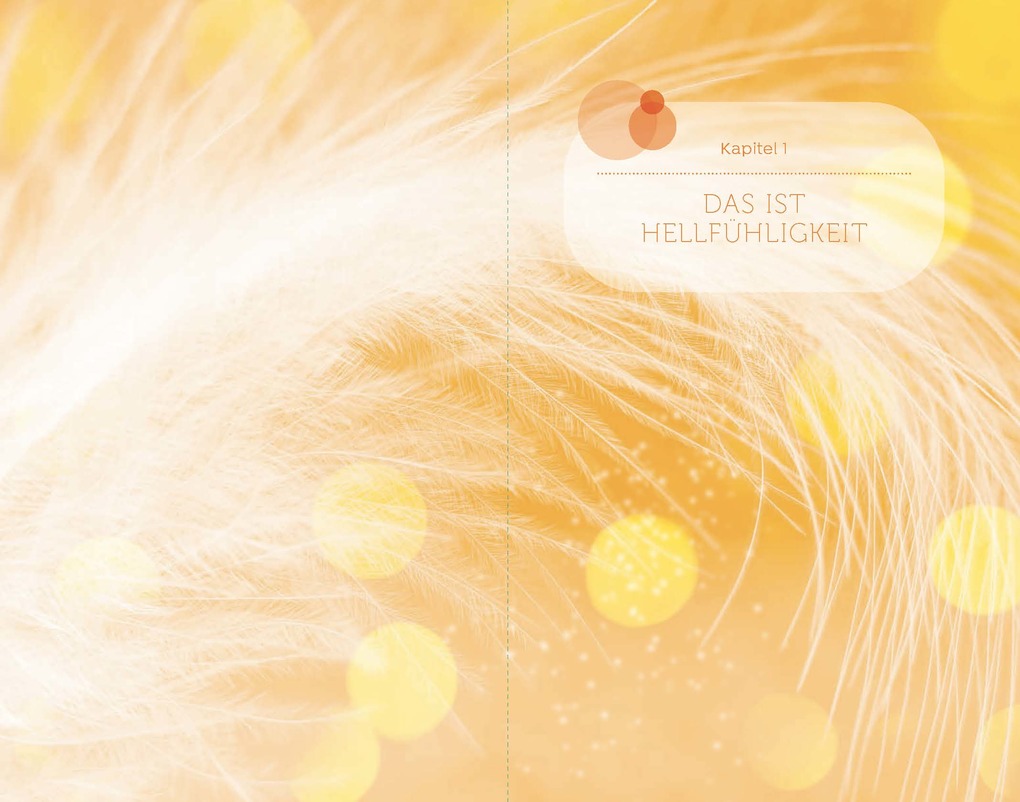 Weitere Ansicht: Hellfühligkeit | Birgit Feliz Carrasco