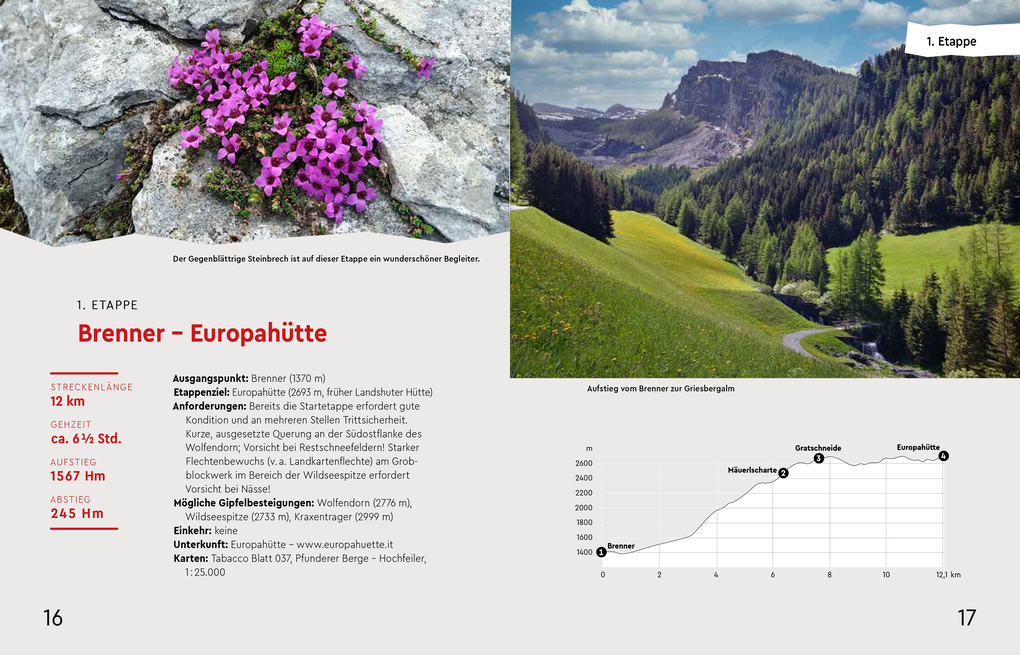 Weitere Ansicht: Südtirol-Umrundung OST - Der neue Weitwanderweg entlang der Landesgrenze | Hanspaul Holzmann