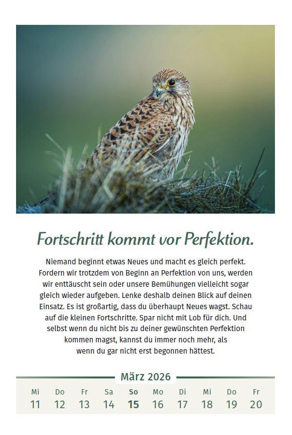 Weitere Ansicht: Der Lebensfreude-Kalender 2026 im Großformat | Doris Wolf, Rolf Merkle, Maja Günther