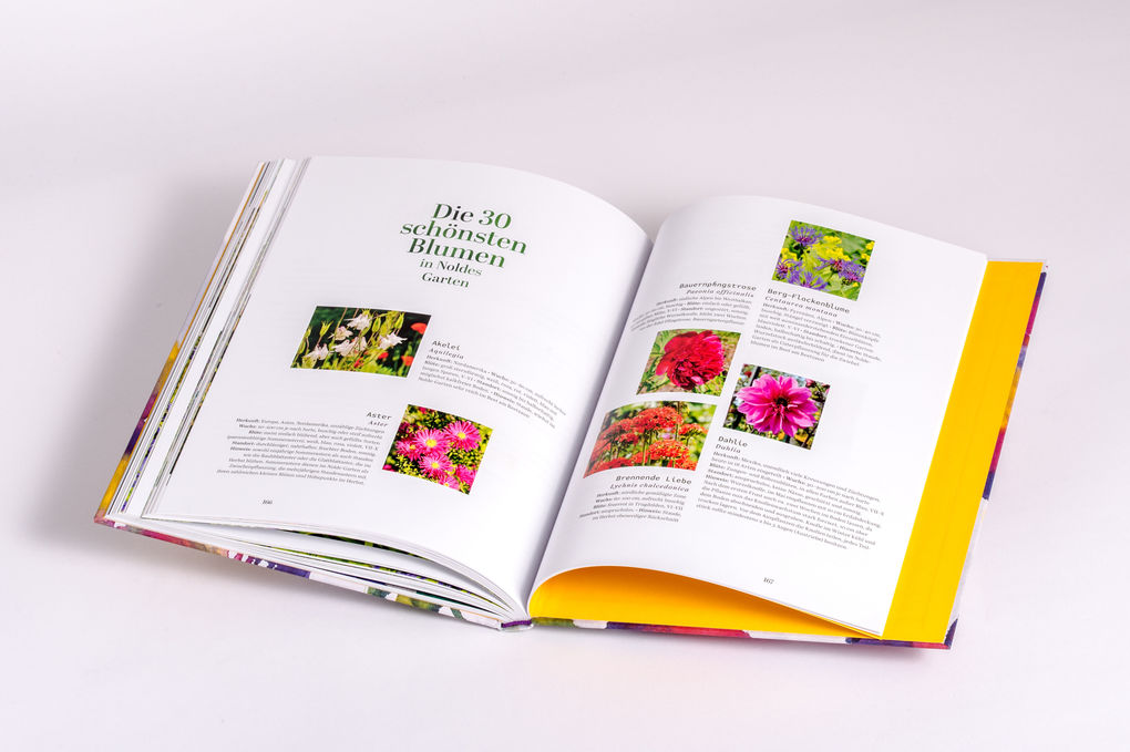 Weitere Ansicht: Der Garten von Emil Nolde | Magdalena Moeller