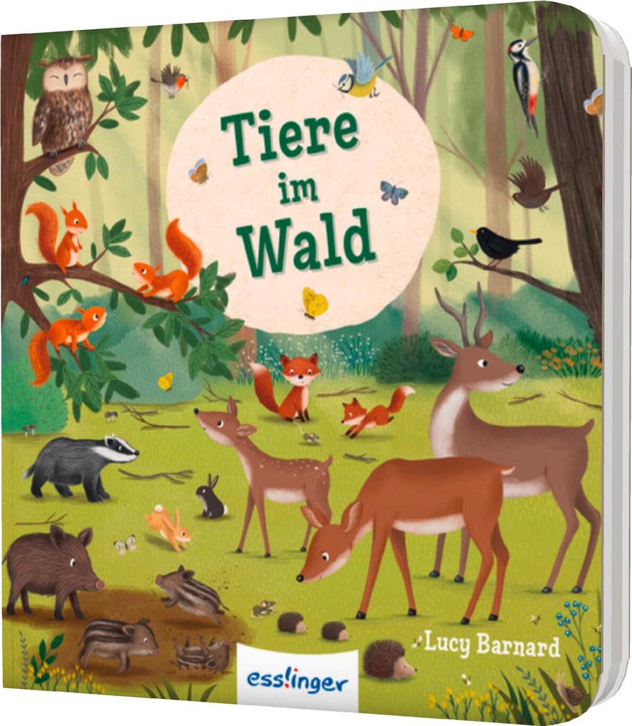 Weitere Ansicht: Mein erstes Natur-Wimmelbuch: Tiere im Wald - Mini-Ausgabe | Sibylle Schumann