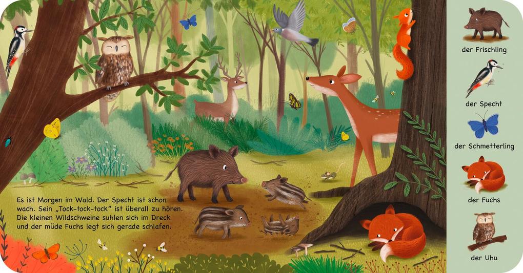 Weitere Ansicht: Mein erstes Natur-Wimmelbuch: Tiere im Wald - Mini-Ausgabe | Sibylle Schumann