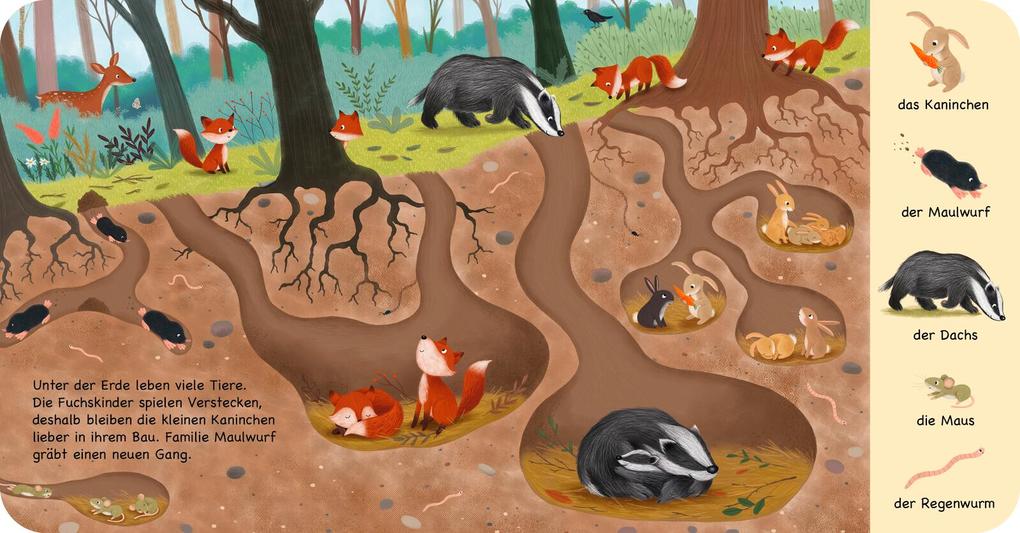 Weitere Ansicht: Mein erstes Natur-Wimmelbuch: Tiere im Wald - Mini-Ausgabe | Sibylle Schumann