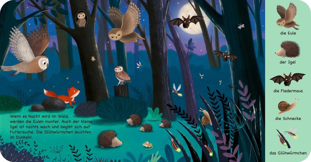 Weitere Ansicht: Mein erstes Natur-Wimmelbuch: Tiere im Wald - Mini-Ausgabe | Sibylle Schumann