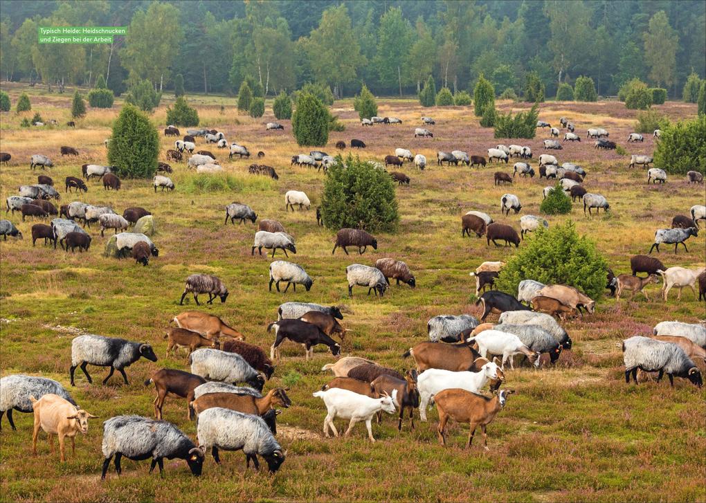 Weitere Ansicht: Camperglück Deutschlands Norden | Michael Schroeder und Iris Löser