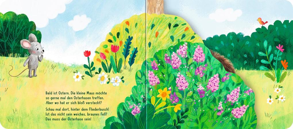 Weitere Ansicht: Wo bist du, kleiner Osterhase? | Sylvia Tress