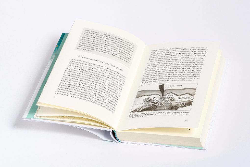 Weitere Ansicht: Immunsystem neu gedacht | Christian Schubert