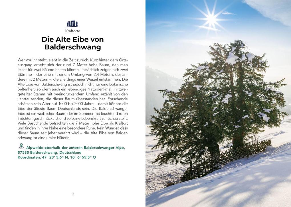 Weitere Ansicht: Der verrückteste Reiseführer für die Alpen | Corinna Böck, Daniel Wiechmann