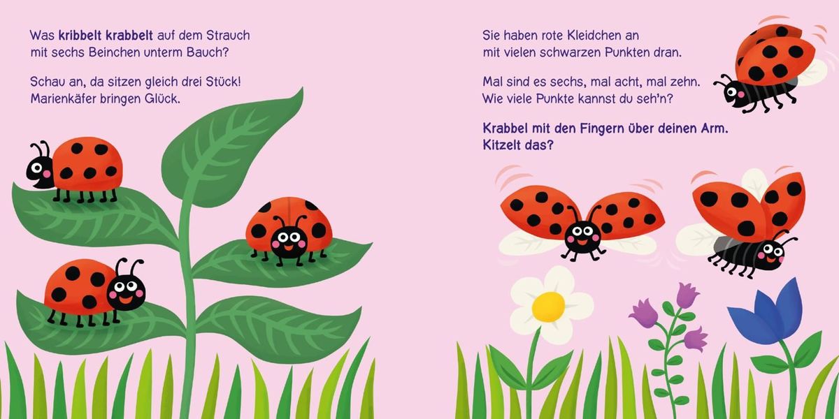 Weitere Ansicht: Baby Pixi (unkaputtbar) 160: Wer kribbelt und krabbelt denn da? | Nastja Holtfreter