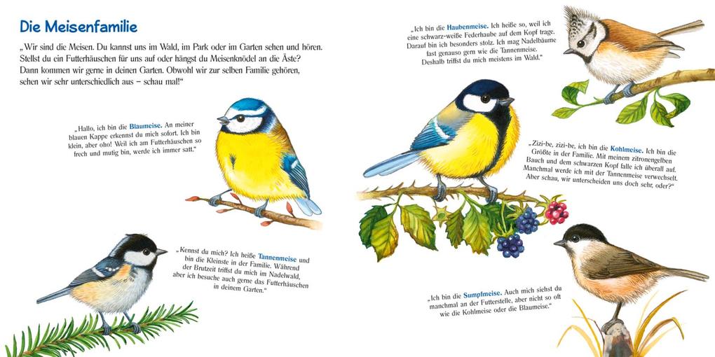Weitere Ansicht: Pass gut auf die kleine Meise auf | Maria Höck