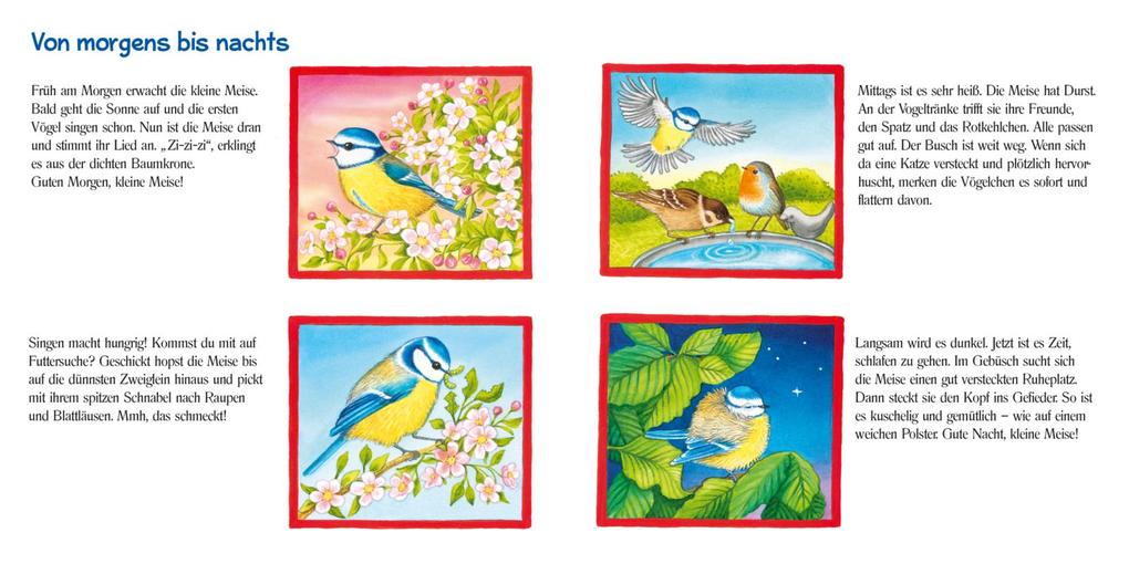 Weitere Ansicht: Pass gut auf die kleine Meise auf | Maria Höck