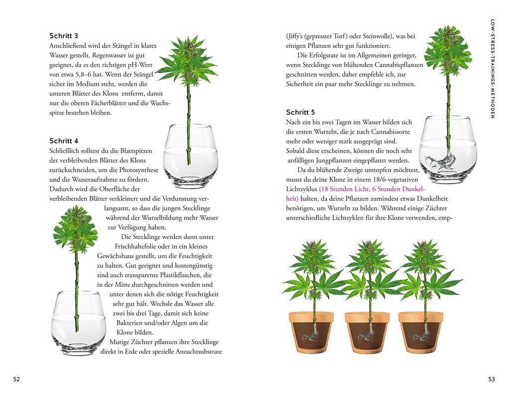 Weitere Ansicht: Cannabis | Christian Stolberg