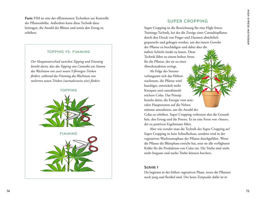 Weitere Ansicht: Cannabis | Christian Stolberg