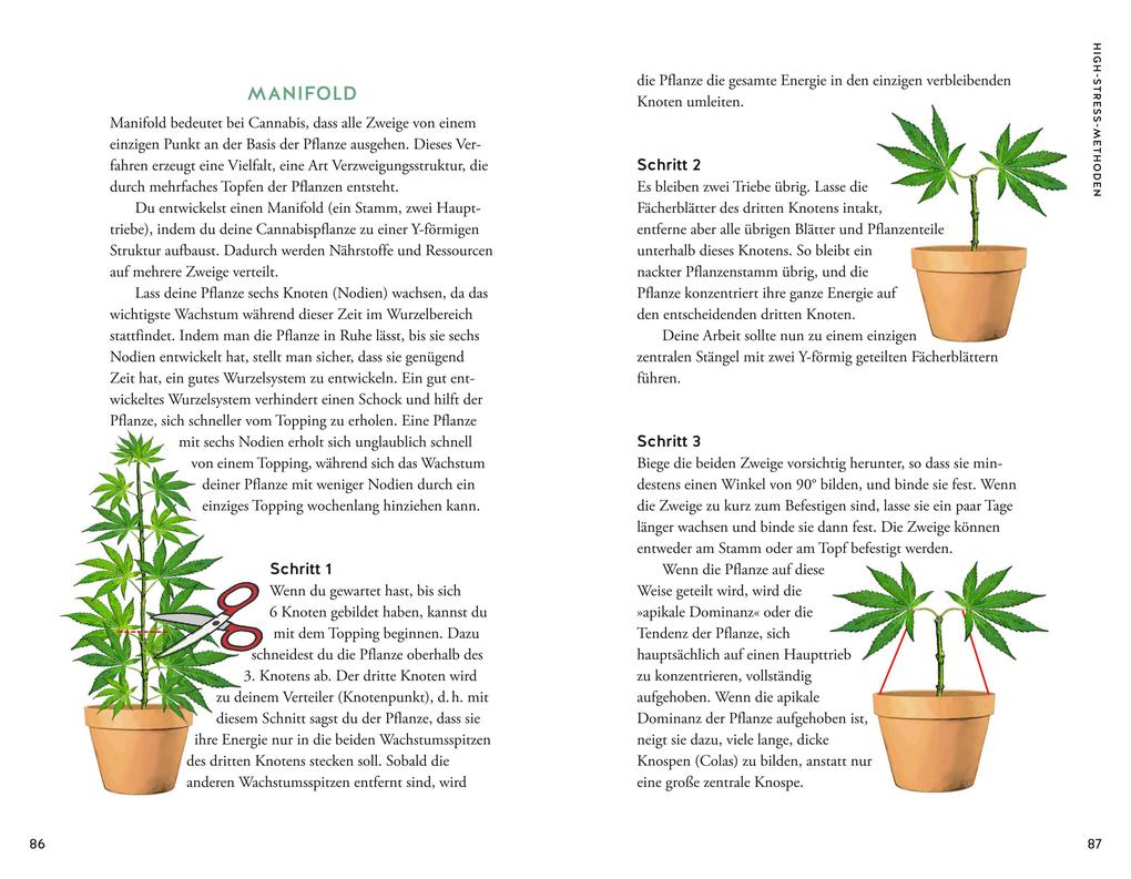 Weitere Ansicht: Cannabis | Christian Stolberg