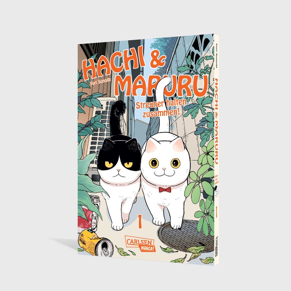 Weitere Ansicht: Hachi & Maruru - Streuner halten zusammen! 1 | Yuri Sonoda