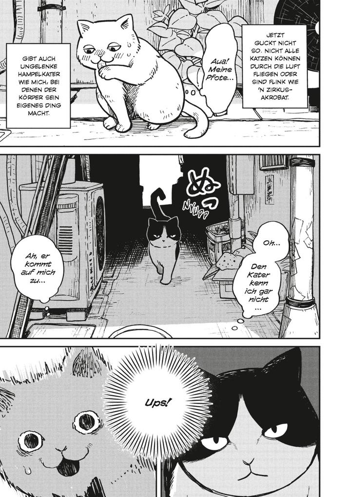 Weitere Ansicht: Hachi & Maruru - Streuner halten zusammen! 1 | Yuri Sonoda