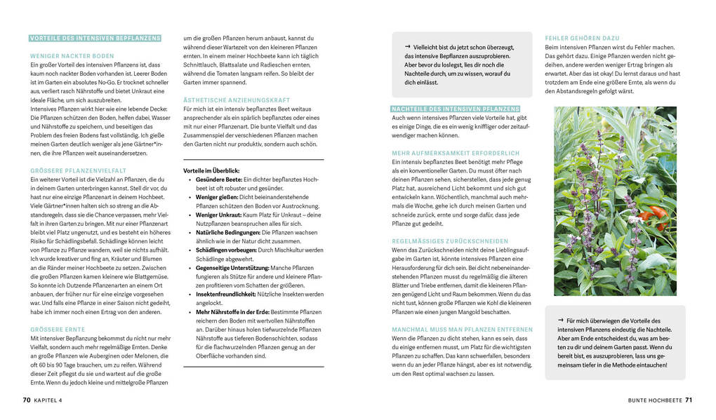 Weitere Ansicht: Bunte Beete - Einfach gärtnern mit intensiver Bepflanzung in Hochbeet und Freiland | Saskia Voigt