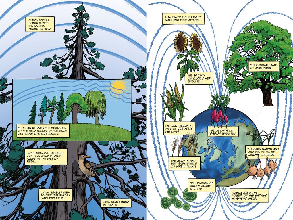 Weitere Ansicht: Electric Life | Sander Funneman