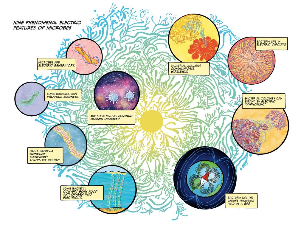 Weitere Ansicht: Electric Life | Sander Funneman
