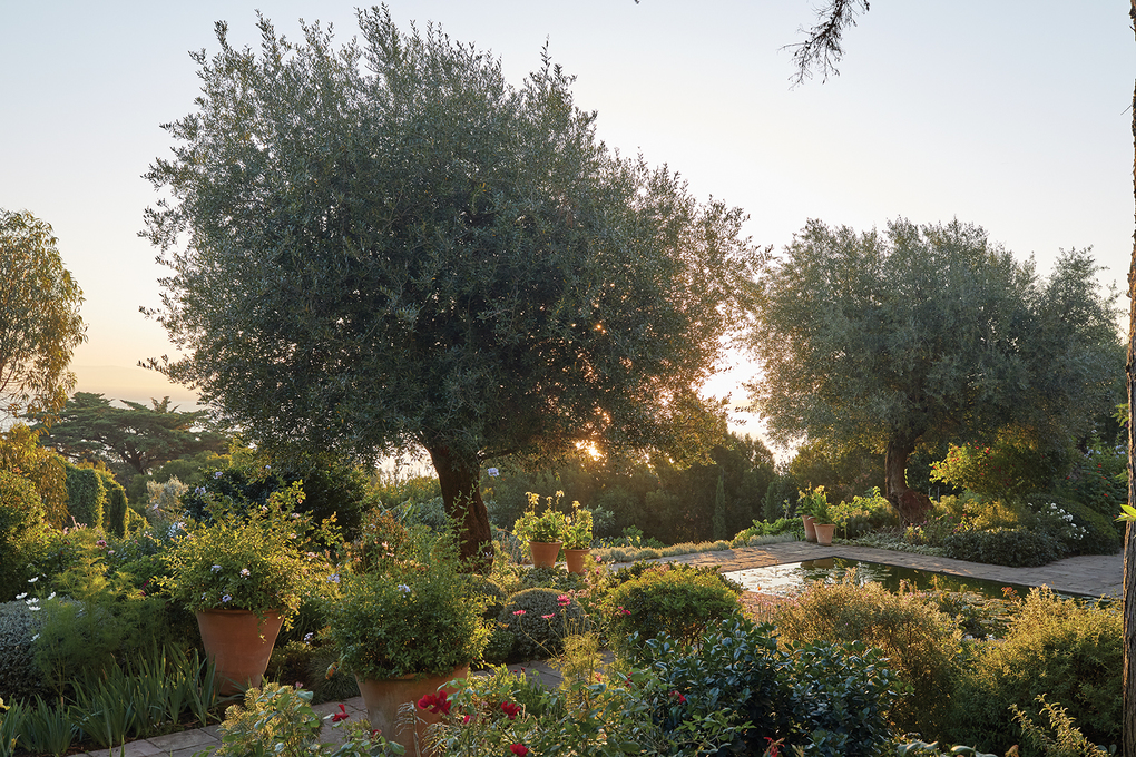 Weitere Ansicht: Glorious Gardens | Dara Caponigro