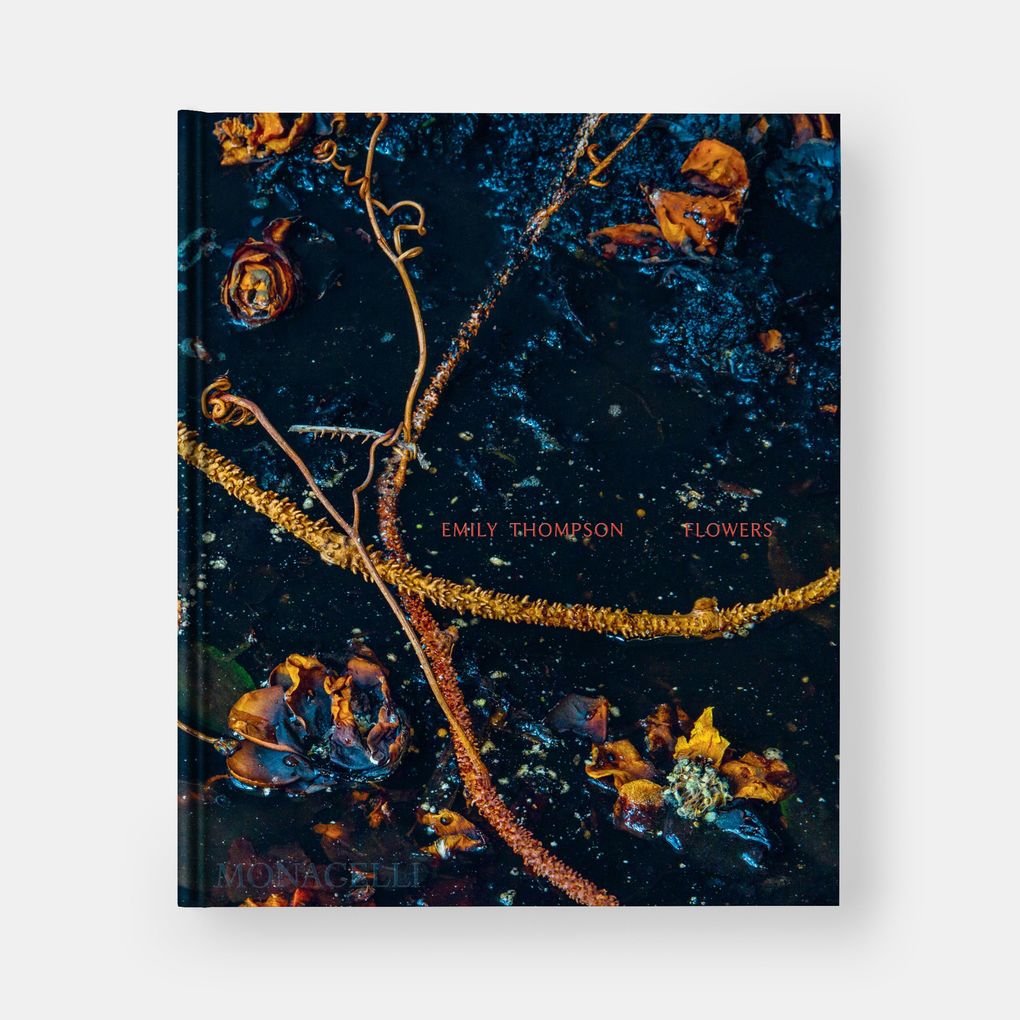 Weitere Ansicht: Emily Thompson Flowers | Emily Thompson