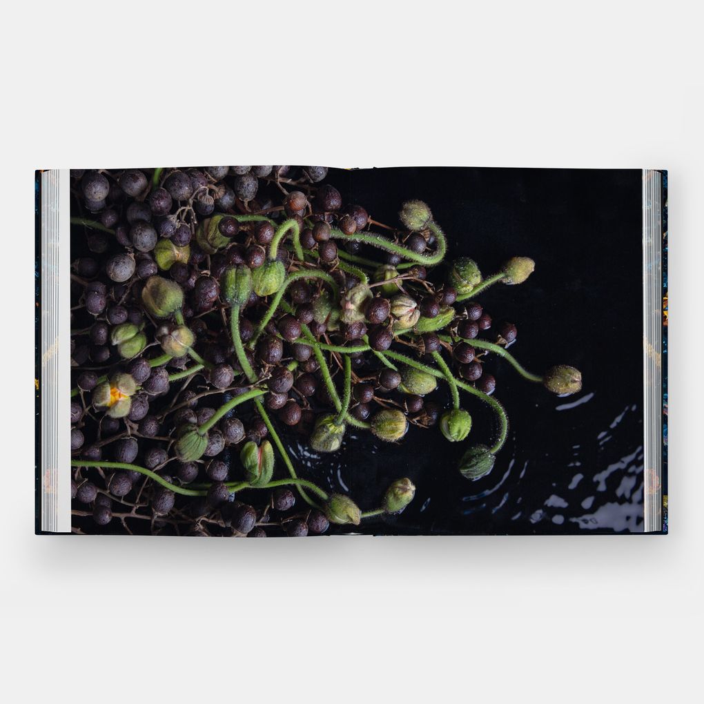 Weitere Ansicht: Emily Thompson Flowers | Emily Thompson