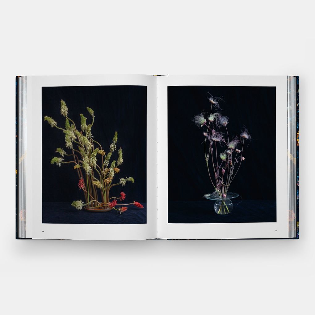 Weitere Ansicht: Emily Thompson Flowers | Emily Thompson