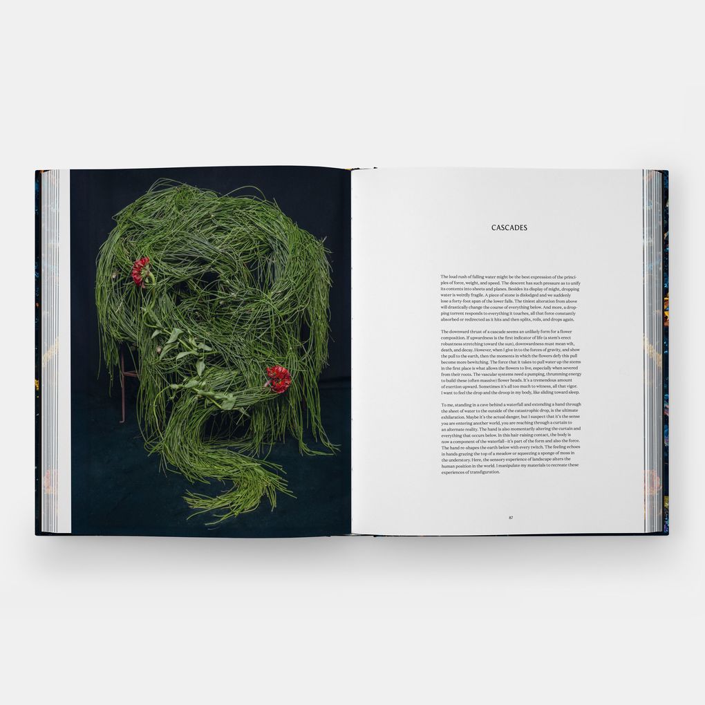 Weitere Ansicht: Emily Thompson Flowers | Emily Thompson