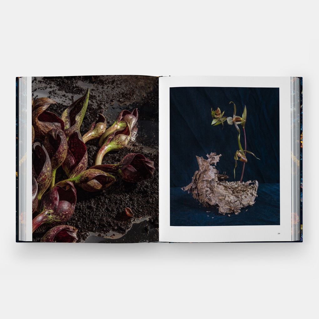 Weitere Ansicht: Emily Thompson Flowers | Emily Thompson