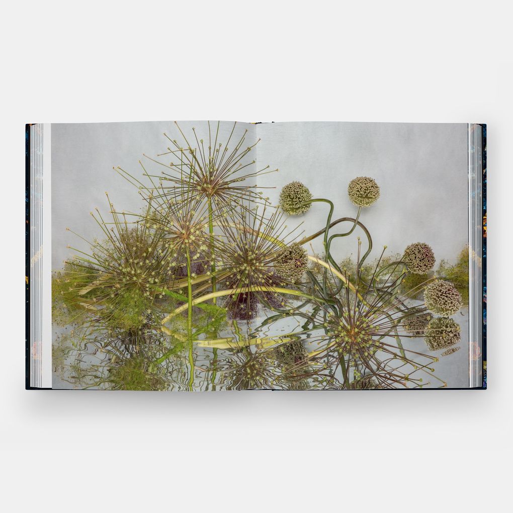 Weitere Ansicht: Emily Thompson Flowers | Emily Thompson