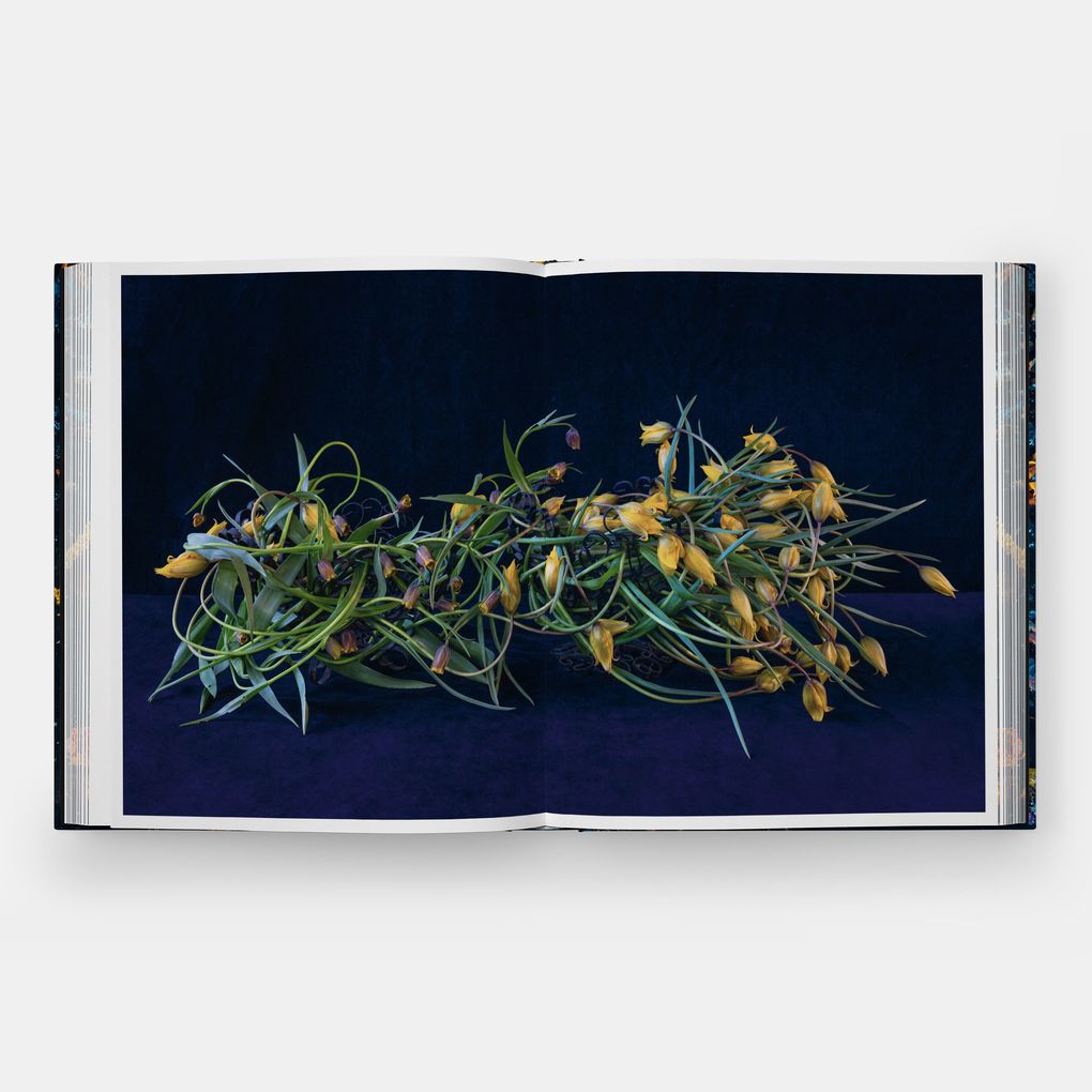 Weitere Ansicht: Emily Thompson Flowers | Emily Thompson