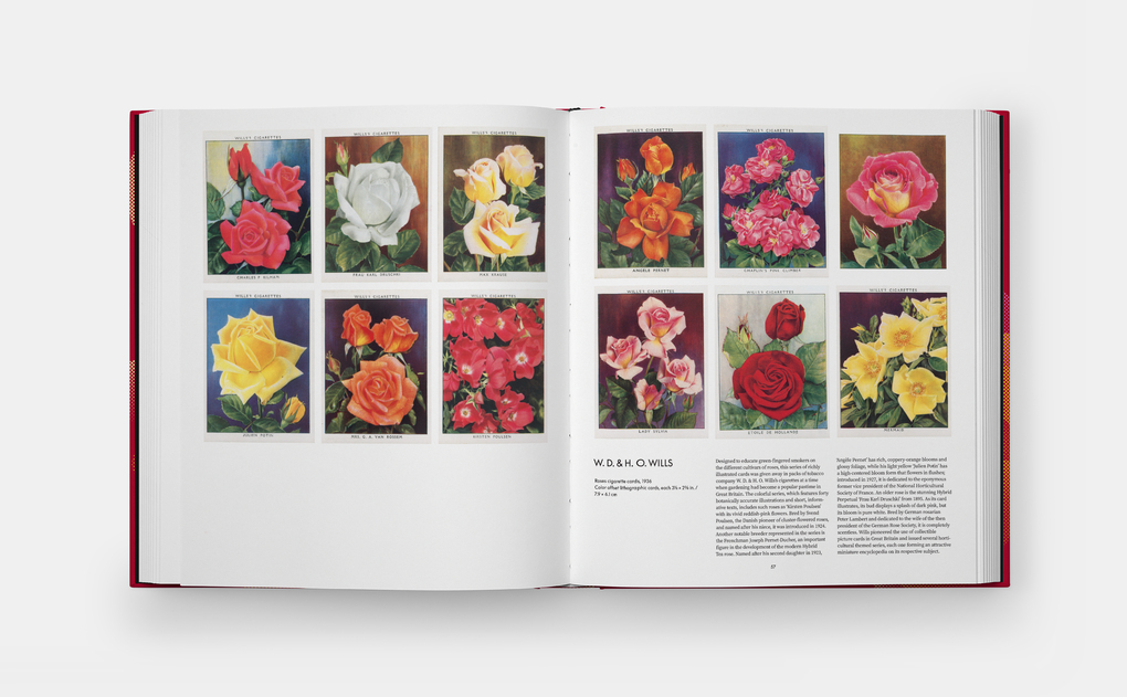 Weitere Ansicht: The Rose Book | Phaidon Editors