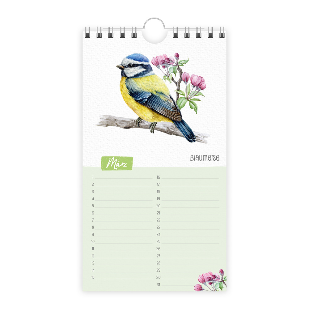 Weitere Ansicht: Trötsch Geburtstagskalender Unsere Vogelwelt
