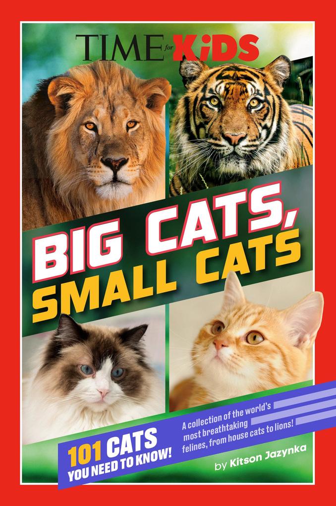 Produktbild: Time for Kids: Big Cats, Small Cats | Kitson Jazynka