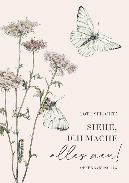 Produktbild: Jahreslosung 2026 - Postkarten (10er-Set)