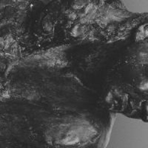 Produktbild: II | Mother