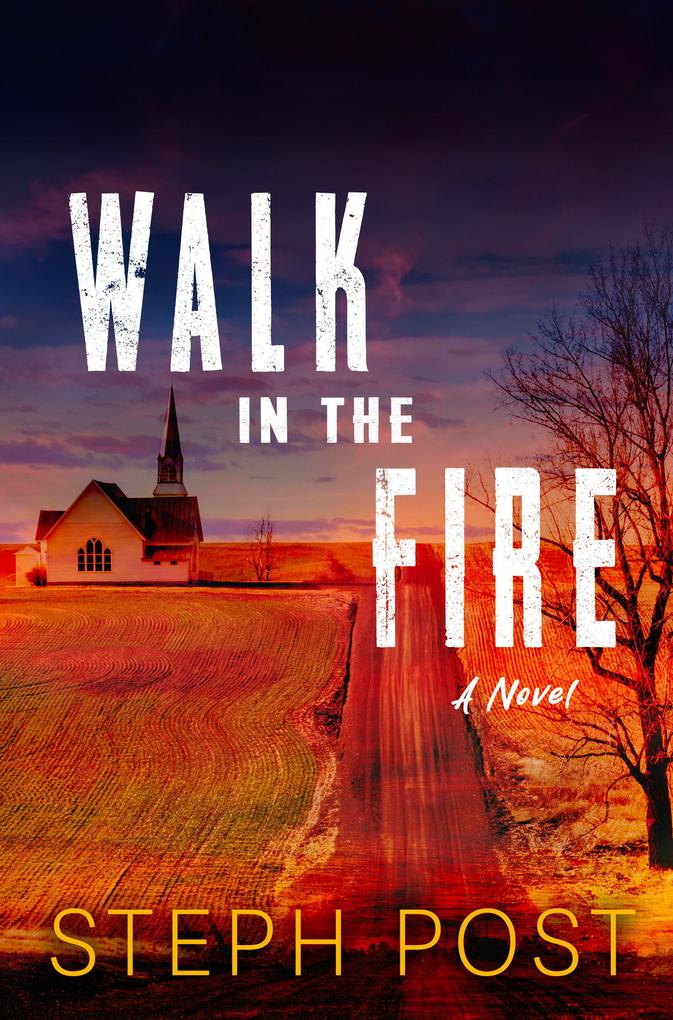 Produktbild: Walk in the Fire | Steph Post
