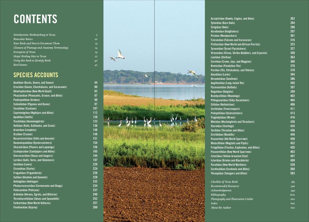 Weitere Ansicht: Birds of Texas | David Sarkozi